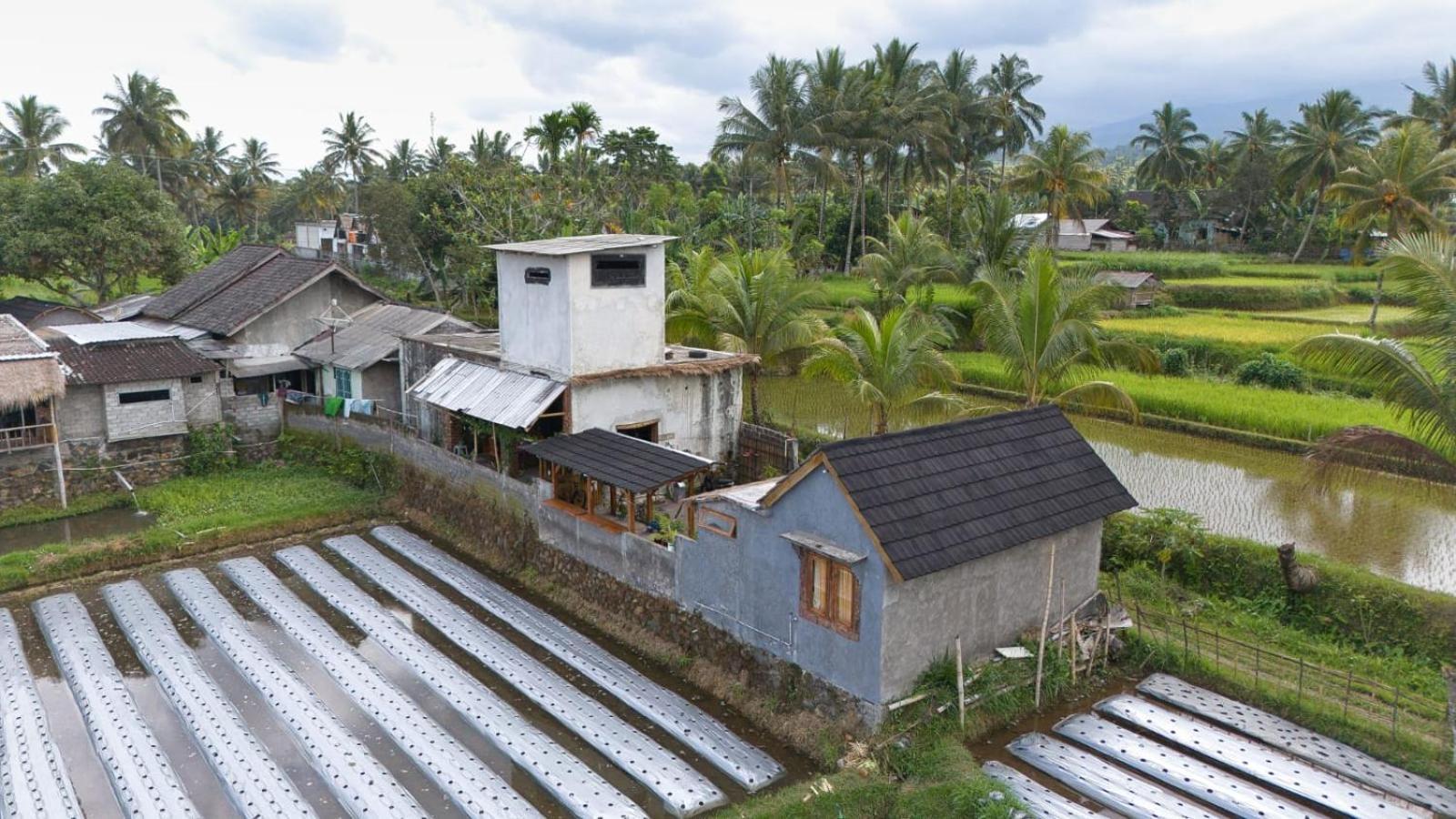 Dira Bungalows Tetebatu Phòng bức ảnh